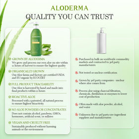 Aloderma bottle held in hand for scale to show convenient 16oz size