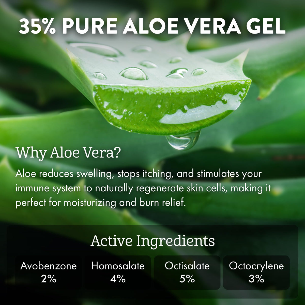 ALOE UP with aloe vera leaf to show 35% pure aloe hydration