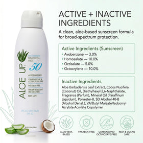 ALOE UP spray mist applied at beach demonstrating fast, even coverage