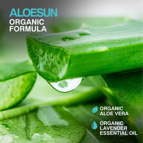 ALOESUN bottle with lavender field backdrop showing natural scent and calming benefit