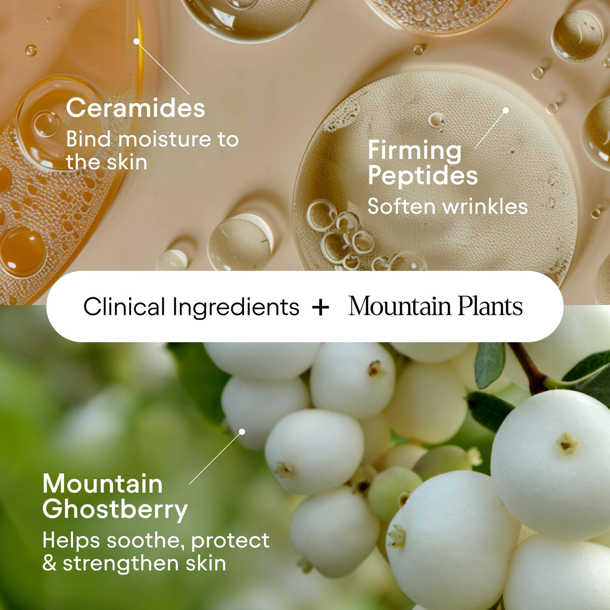 Alpyn moisturizer placed on bathroom counter for everyday soothing routine