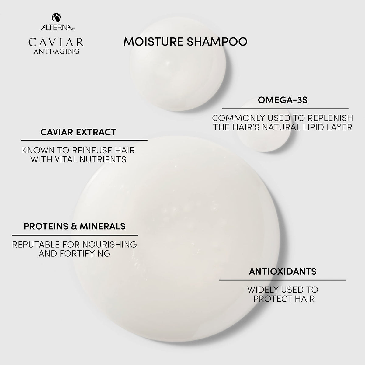 Alterna CAVIAR caviar and sea silk ingredients visual emphasizing nourishment