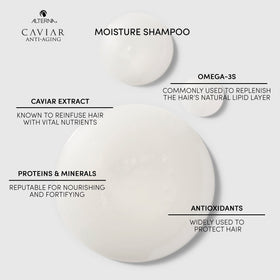 Alterna CAVIAR caviar and sea silk ingredients visual emphasizing nourishment