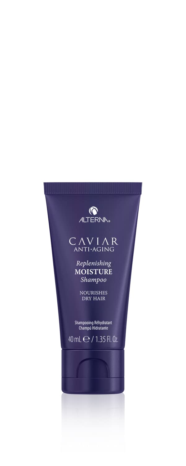 Alterna caviar mini front packaging showing clean branding and size benefit