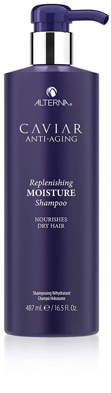 Alterna label and pump detail highlighting luxury formulation benefits