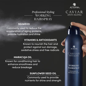 Alterna bottle in hand to show travel scale and convenient portability benefit