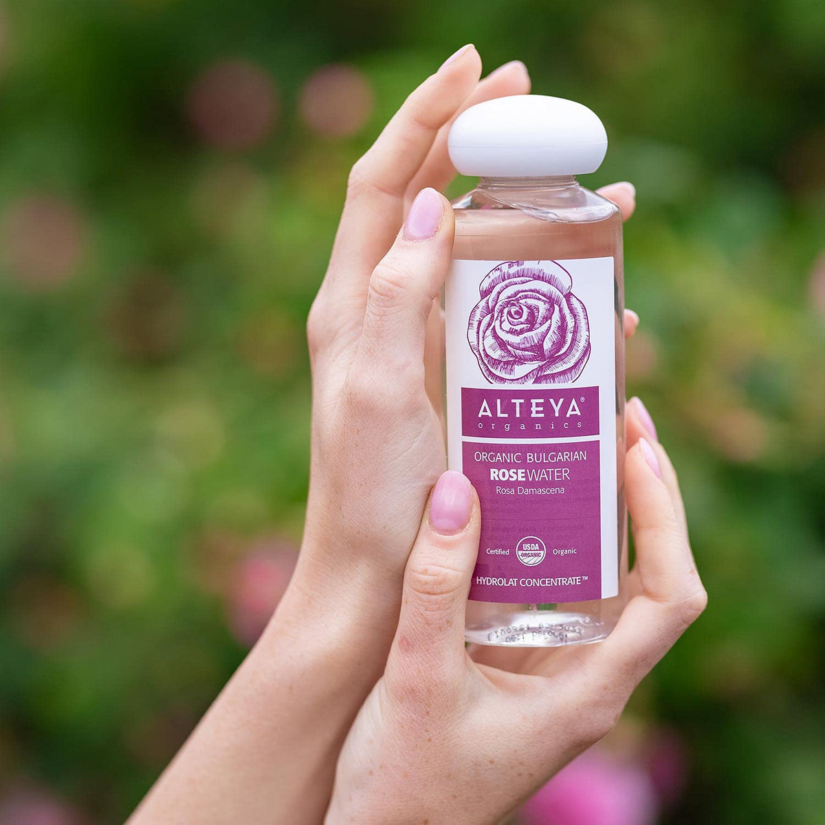 Alteya Organics bottle held in hand for scale, communicates travel-friendly 250ml size