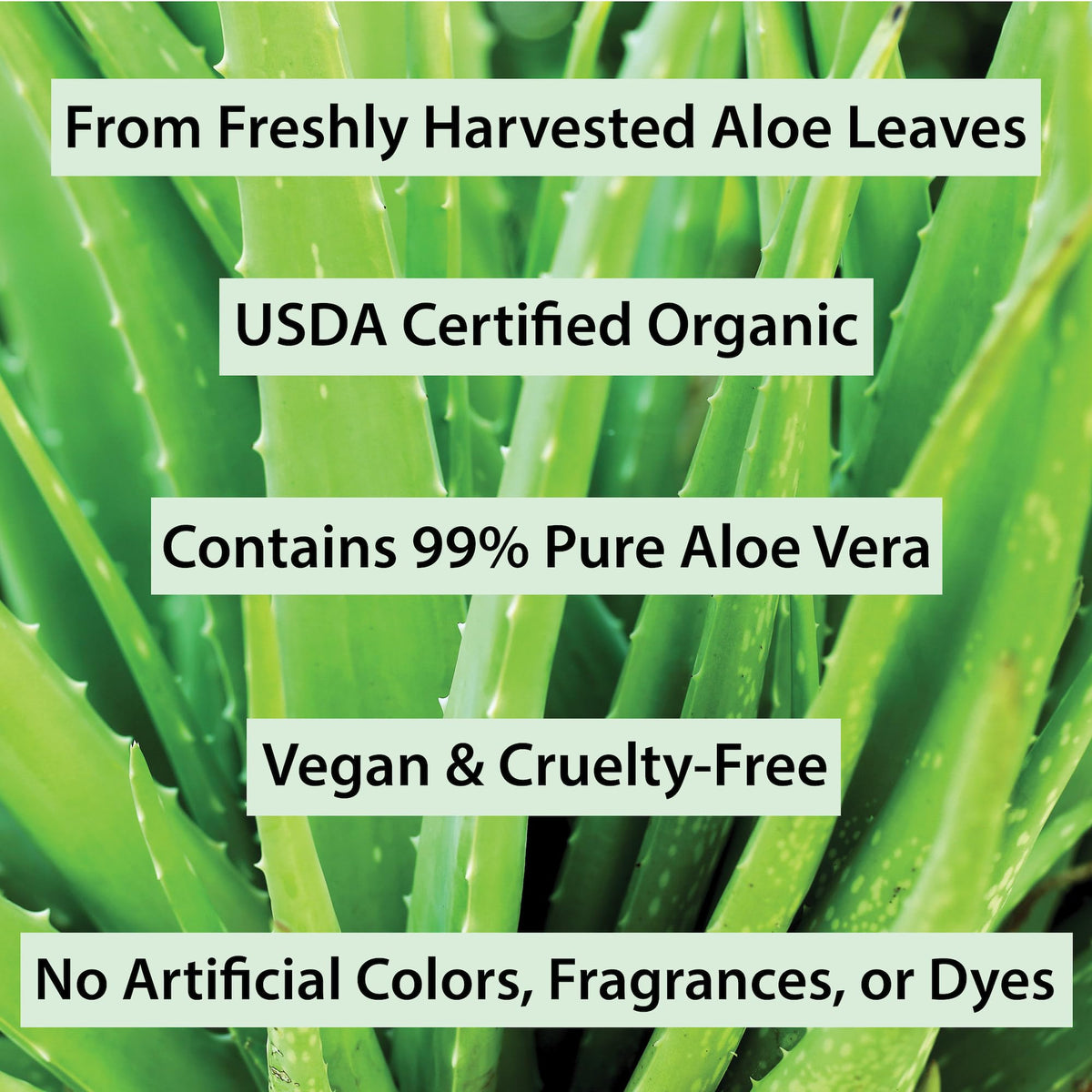 Applying Amara Beauty aloe gel after sun exposure for cooling relief