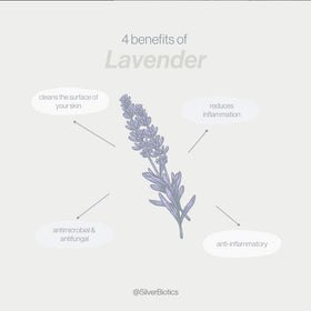 American Biotech Labs bottle styled with lavender sprigs for calming scent