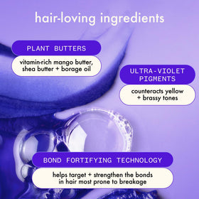 amika quinoa protein ingredient close-up emphasizing strengthening benefit