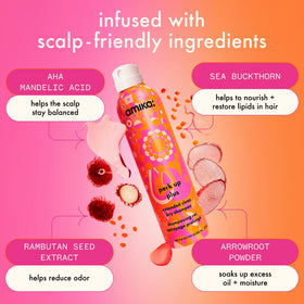Amika Perk Up Plus powder texture macro showing fine absorbent particles