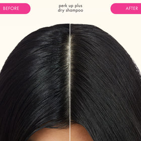 Amika Perk Up Plus applied to roots demonstrating instant oil absorption