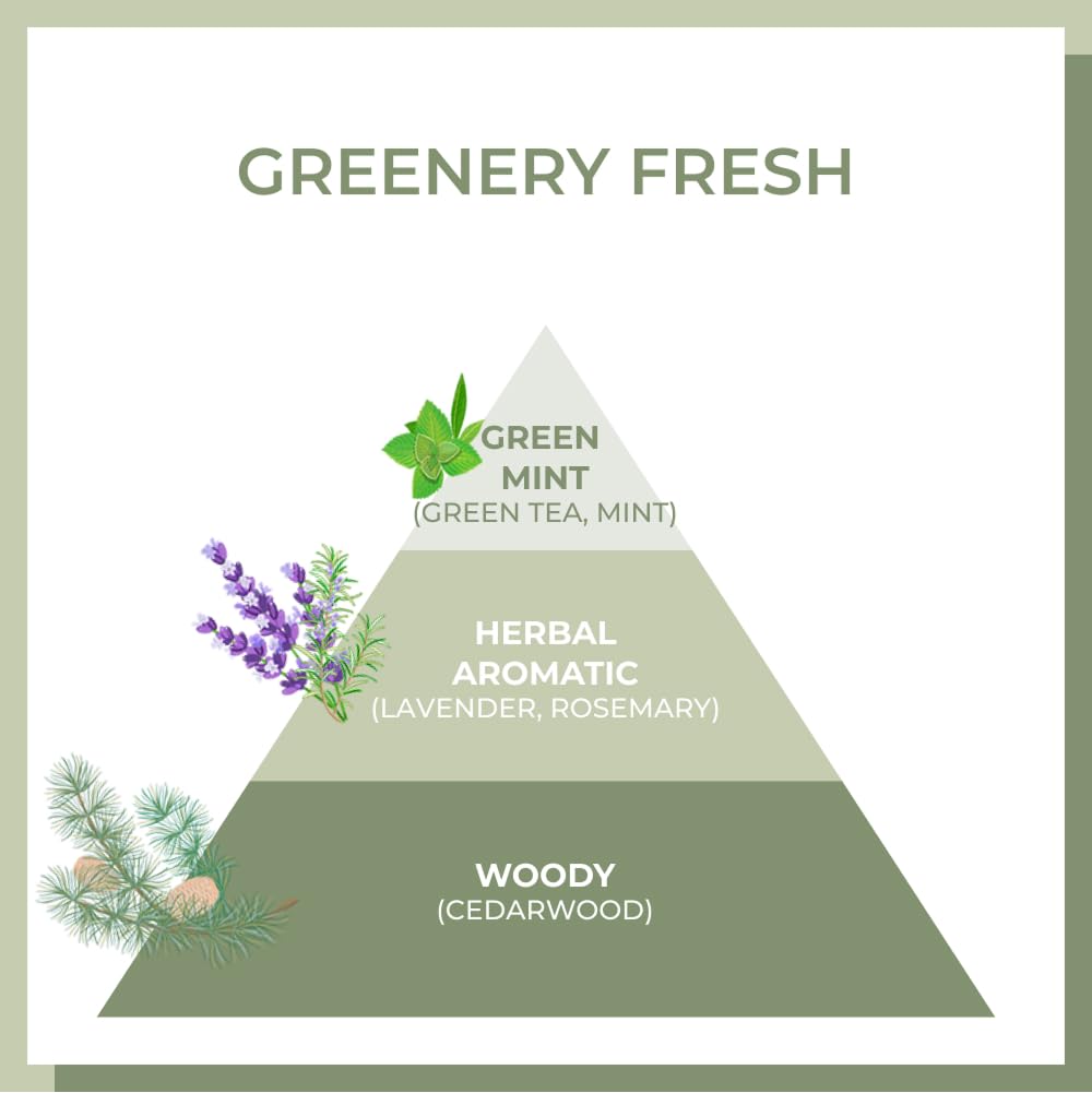 AMOS PROFESSIONAL Jeju green tea leaves ingredient image implying natural amino acids
