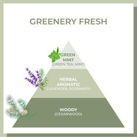 AMOS PROFESSIONAL Jeju green tea leaves ingredient image implying natural amino acids
