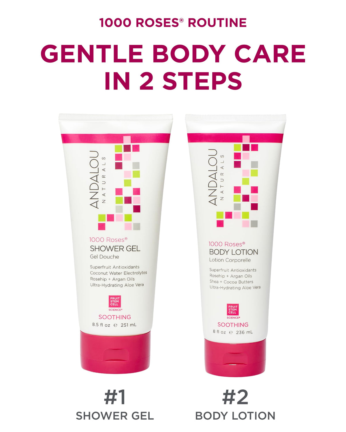 Andalou Naturals close-up of key botanicals showing rosehip and argan oil benefits