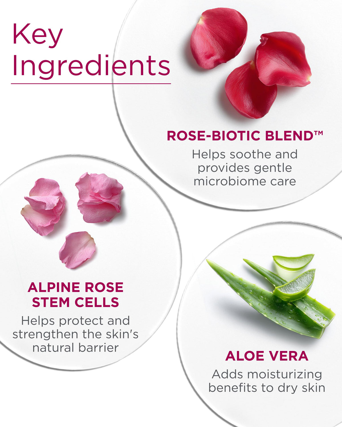 Andalou Naturals rose extract bottle with petals conveying soothing benefits