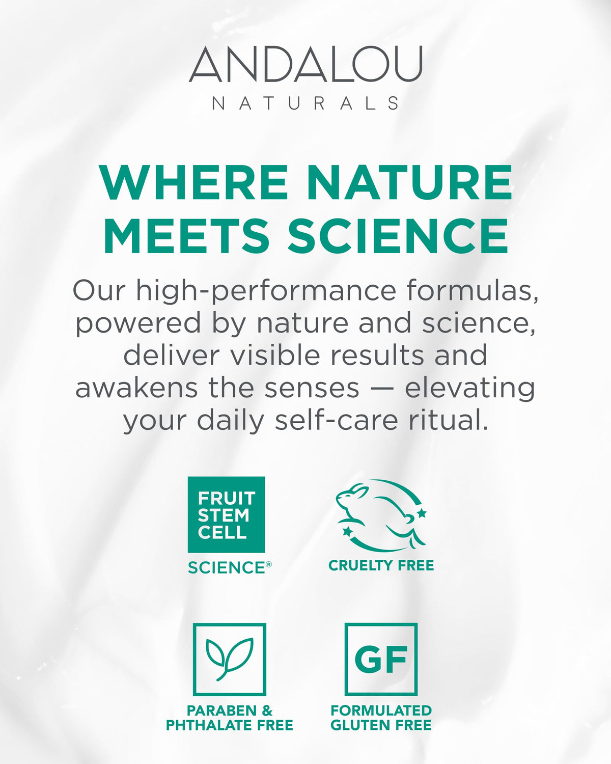 Andalou Naturals sunflower and citrus ingredients staged to show nourishing benefits