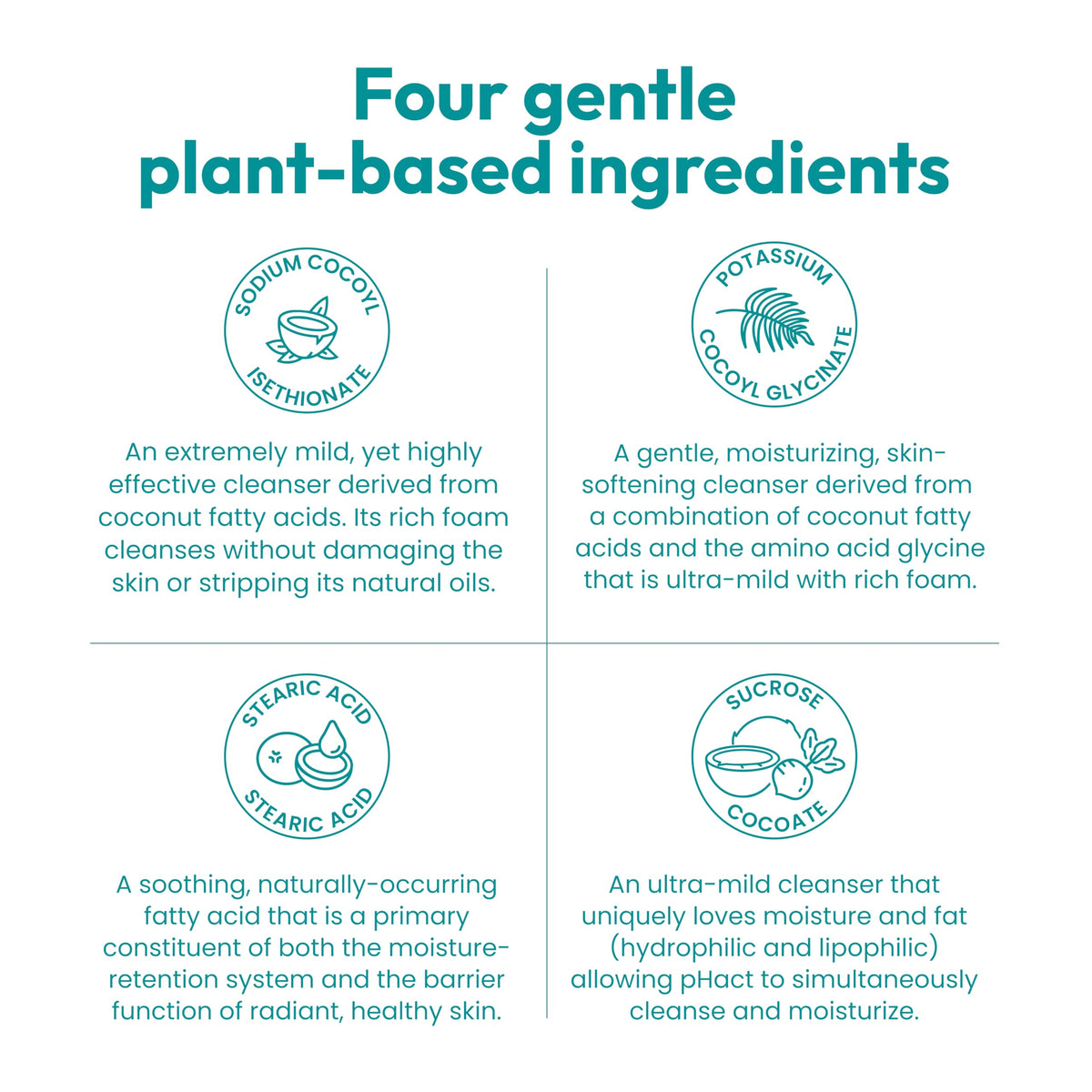 ANDREW LESSMAN plant-based ingredients laid out to show natural source