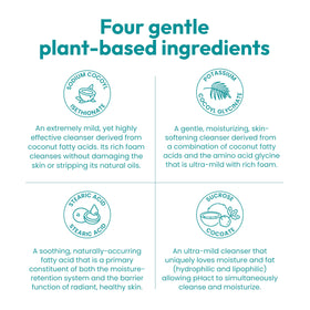 ANDREW LESSMAN plant-based ingredients laid out to show natural source