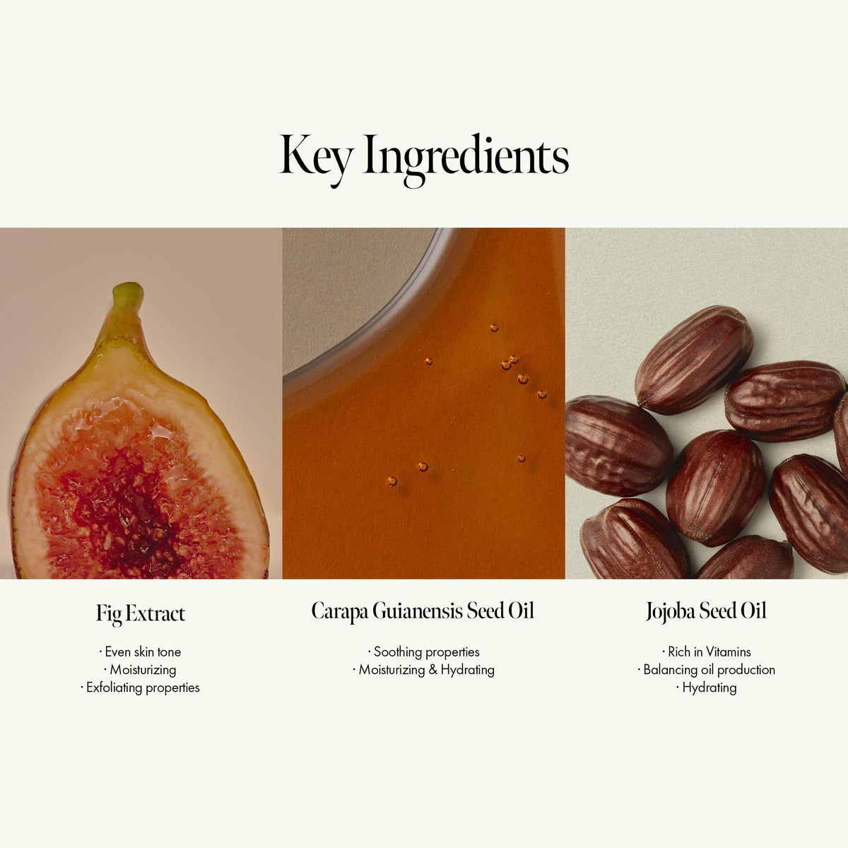 ANILLO ingredients display with argan and jojoba highlighting nourishing oils