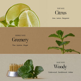 ANILLO bottle label detail showing ingredients and benefits, supports ingredient transparency