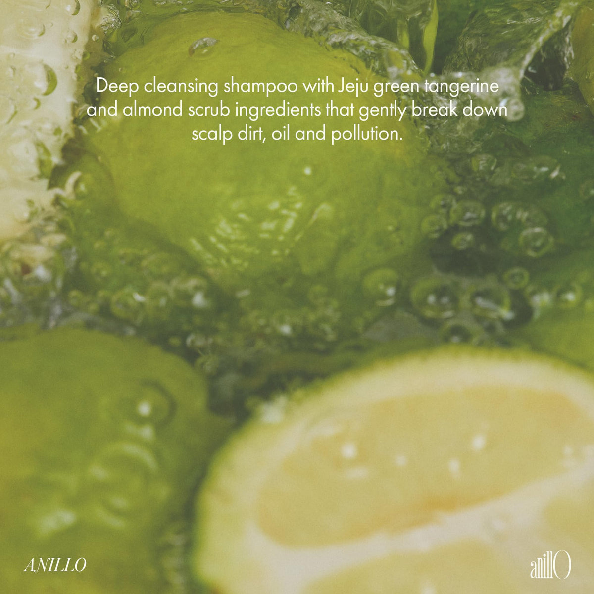 ANILLO Jeju tangerine and mint ingredients on display, emphasizes natural citrus benefit