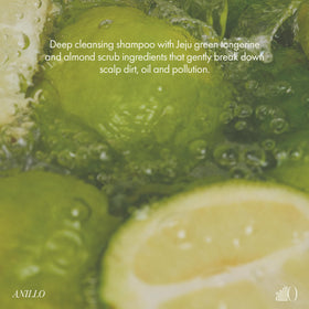 ANILLO Jeju tangerine and mint ingredients on display, emphasizes natural citrus benefit
