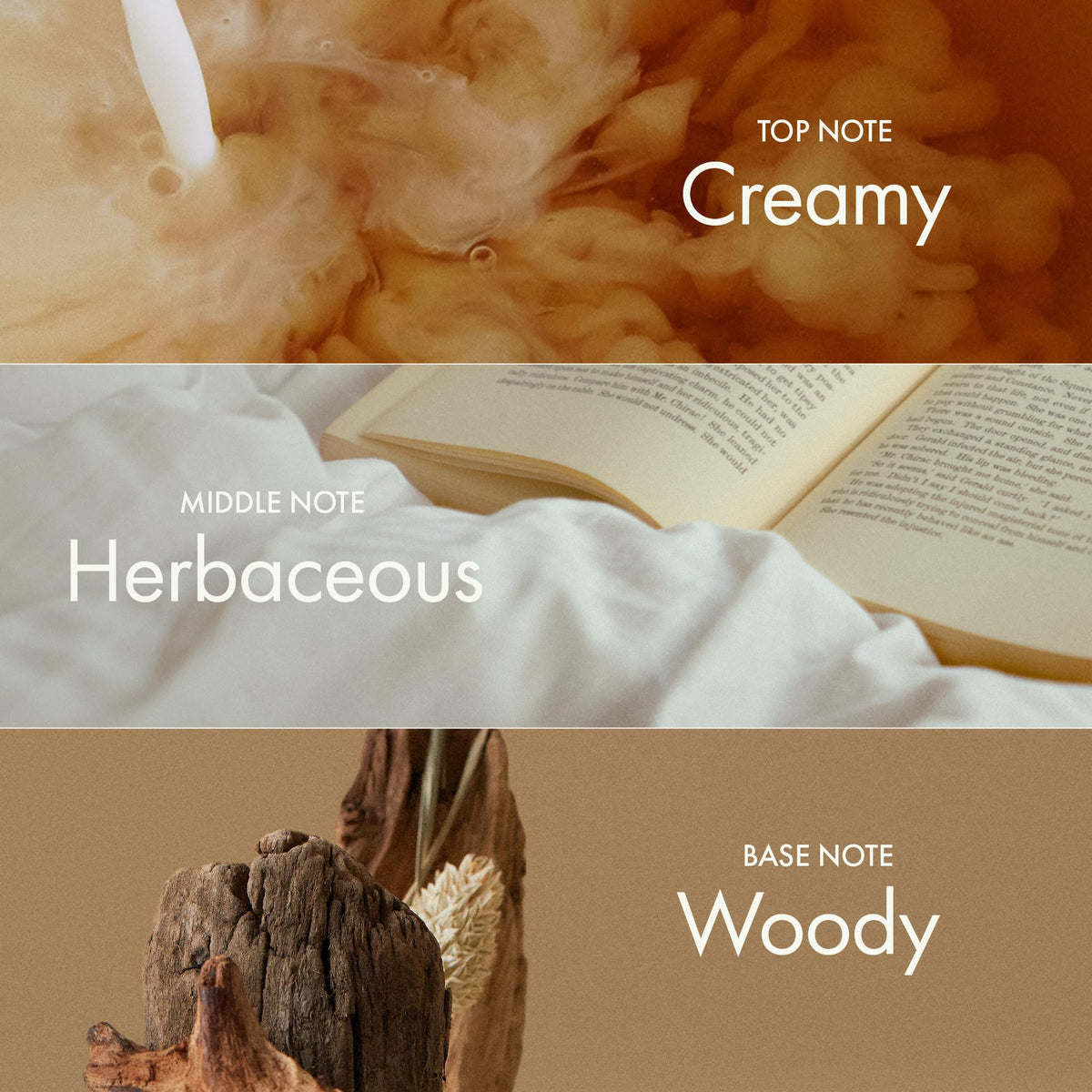 ANILLO packaging label detail highlighting vegan and paraben-free badge