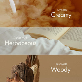 ANILLO packaging label detail highlighting vegan and paraben-free badge