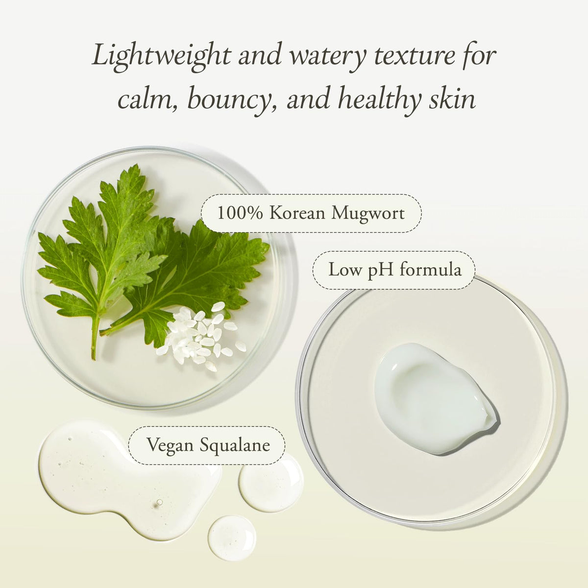 APRILSKIN artemisia leaves image emphasizing soothing botanical active