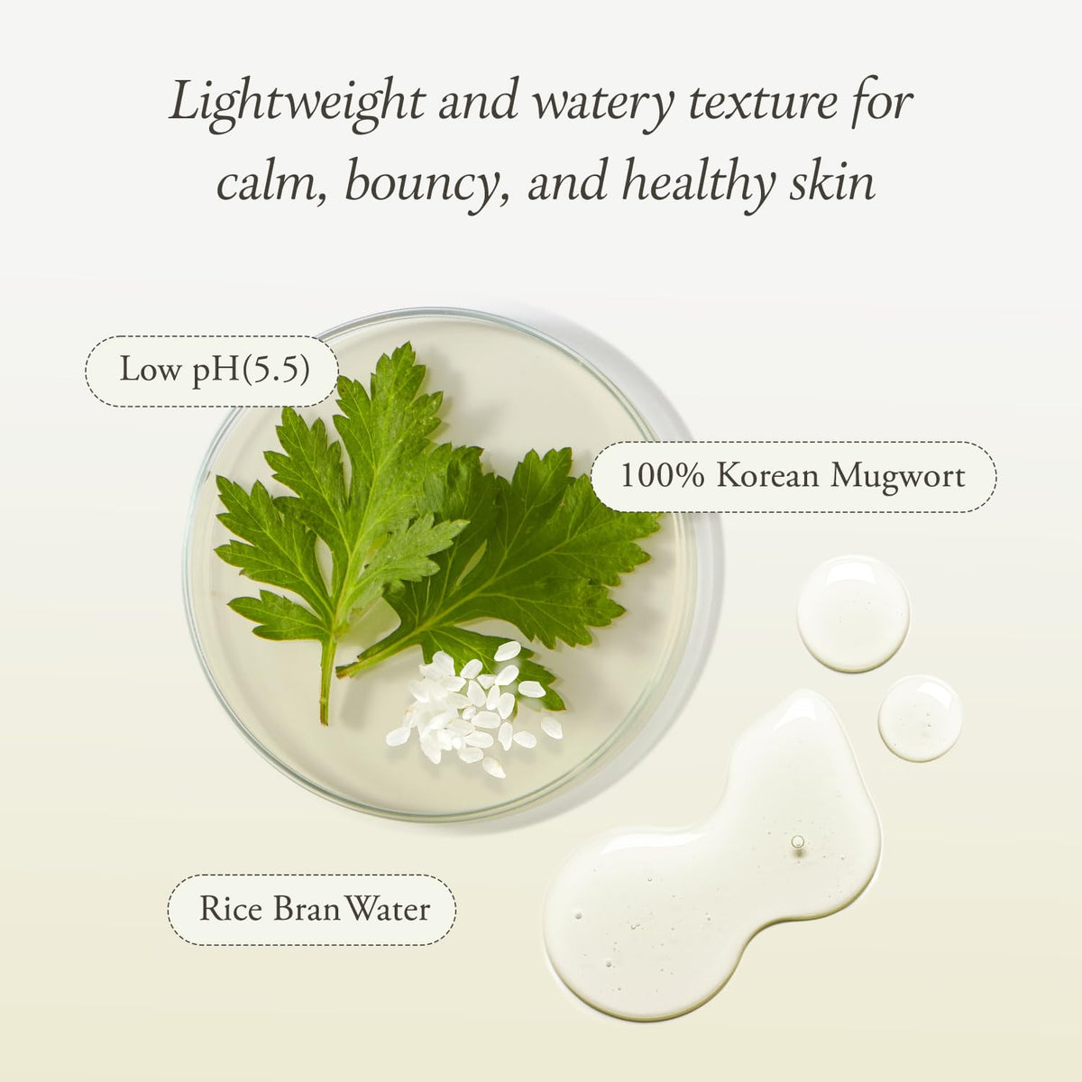 APRILSKIN ingredients display with mugwort and rice visuals for natural benefits