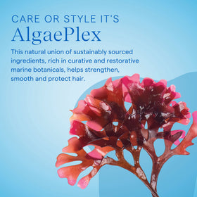 Aquage conditioner being applied to hair mid-lengths for smooth detangling