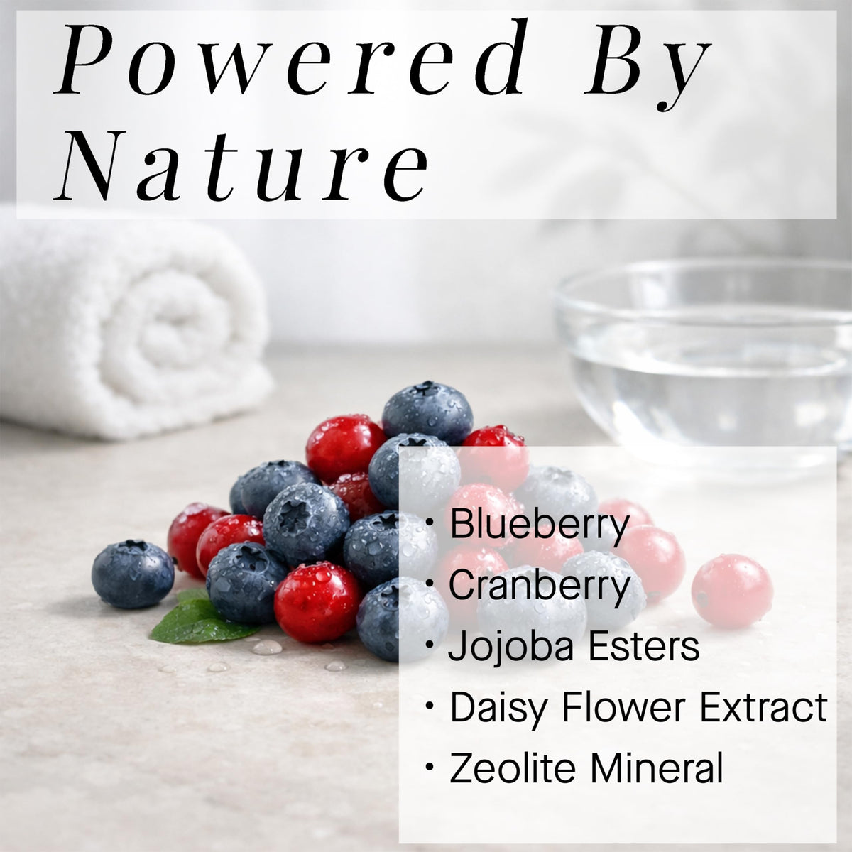 ARCONA cranberry gommage ingredient collage with cranberry and blueberry antioxidant benefit