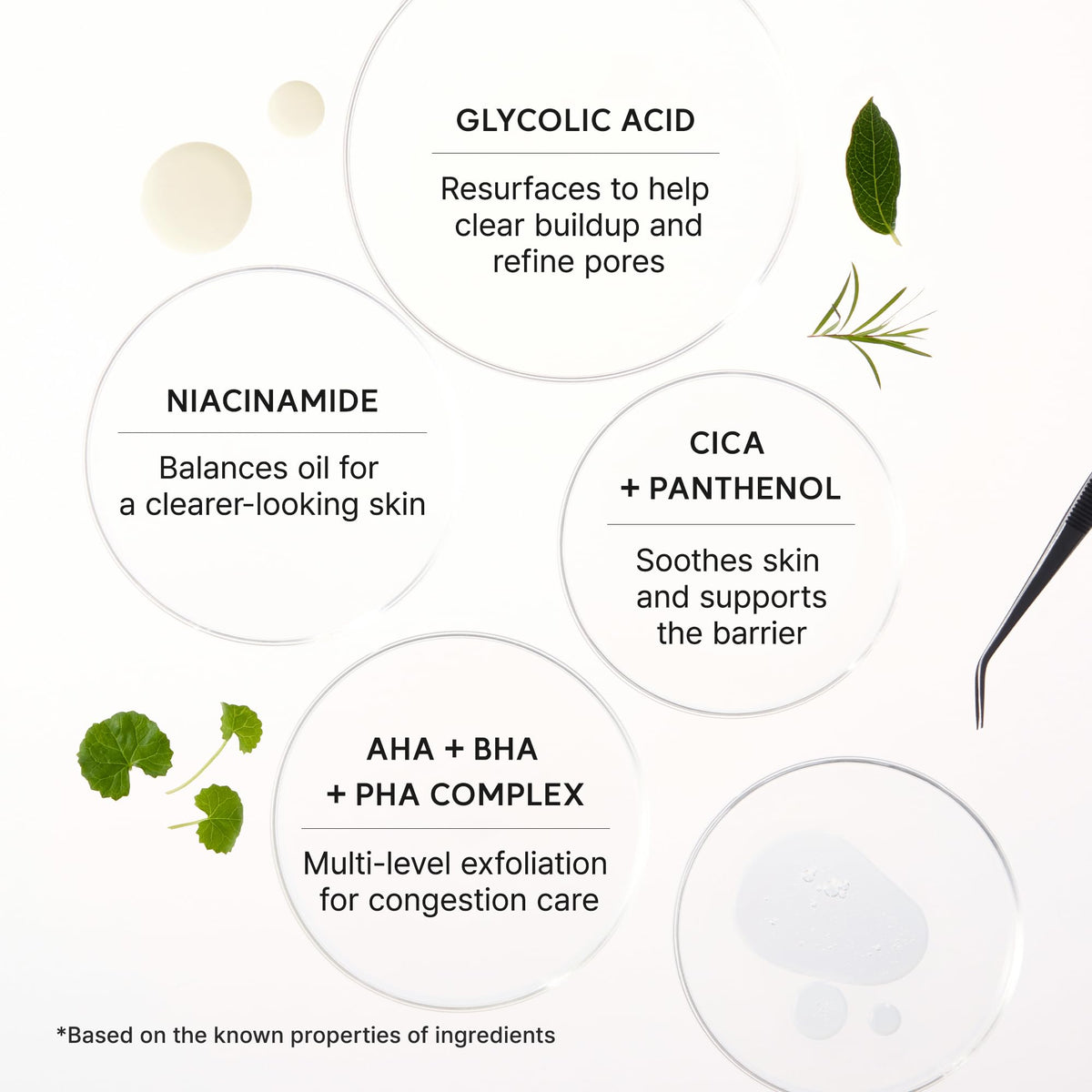 ARENCIA ingredients flatlay featuring ceramide and hyaluronic acid support