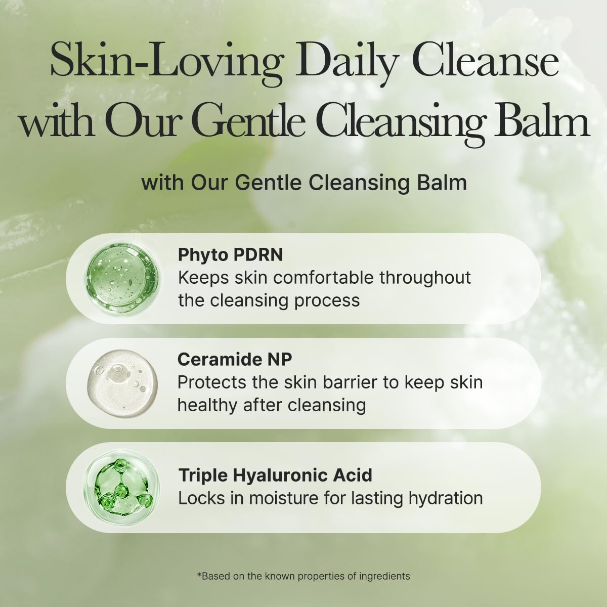 ARENCIA Pore Melt ingredient highlights visual with Phyto PDRN, Ceramide NP and hyaluronic acids benefits