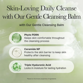 ARENCIA Pore Melt ingredient highlights visual with Phyto PDRN, Ceramide NP and hyaluronic acids benefits