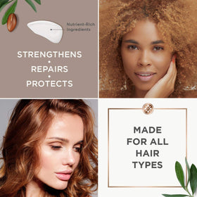 Argan Magic ingredients display with argan and hemp oils showing nourishing benefit