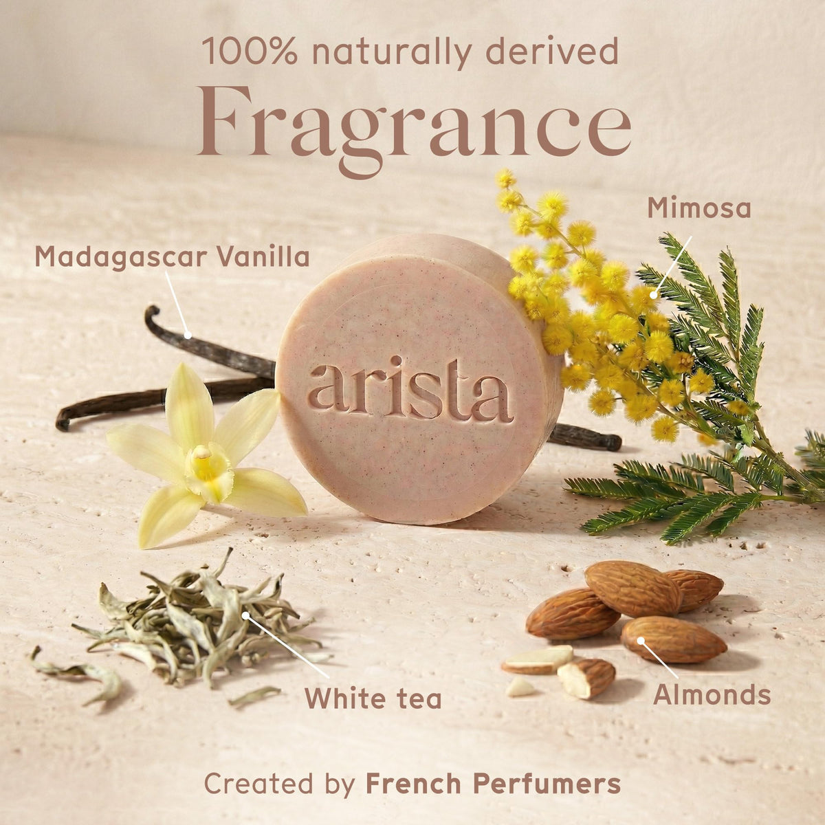 Arista ayurveda ingredients display reetha powder and shea butter for nourishment