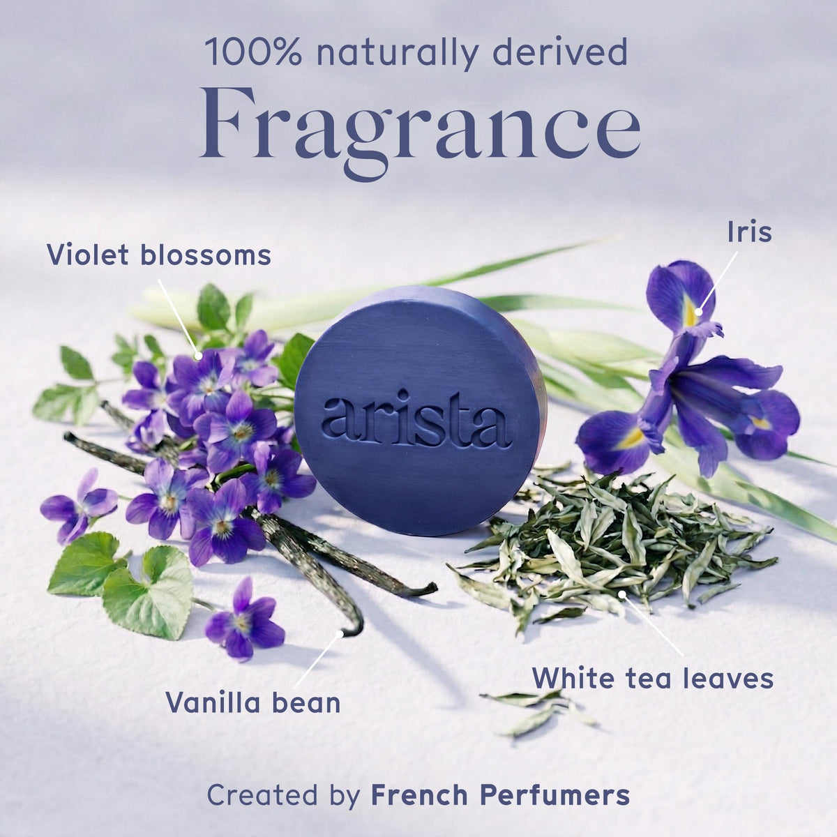 Arista natural ingredients amla and castor oil displayed to show nourishing blend