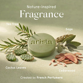Arista arranged ingredients with tea tree and arnica showing botanical formulation benefit