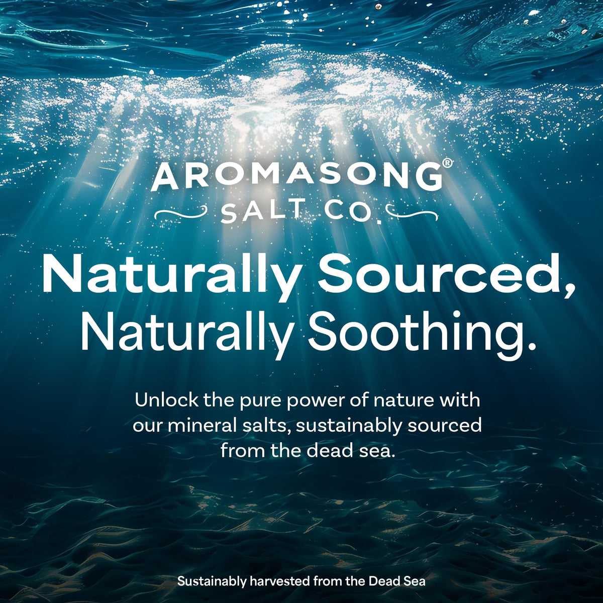 Aromasong 4 lb bag beside a ruler showing scale and multiple-use value