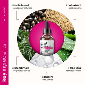 Artnaturals botanicals and ingredients display emphasizing plant-based formulation