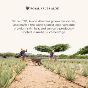 ARUBA ALOE next to everyday items showing 6 oz size for travel convenience