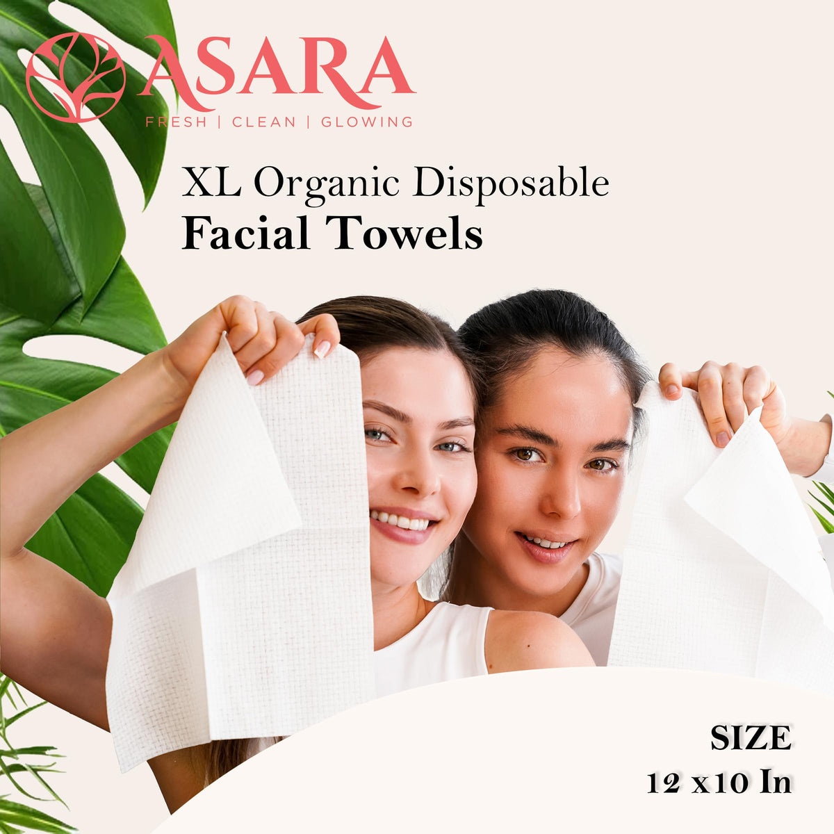 ASARA NEW YORK open box with two 50-counts and bonus sachets showing contents
