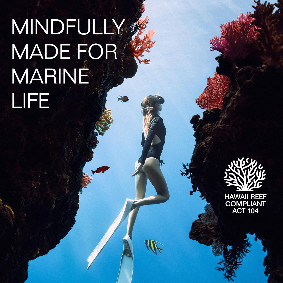 aspen islanders label close-up showing reef-compliant and clean ingredients