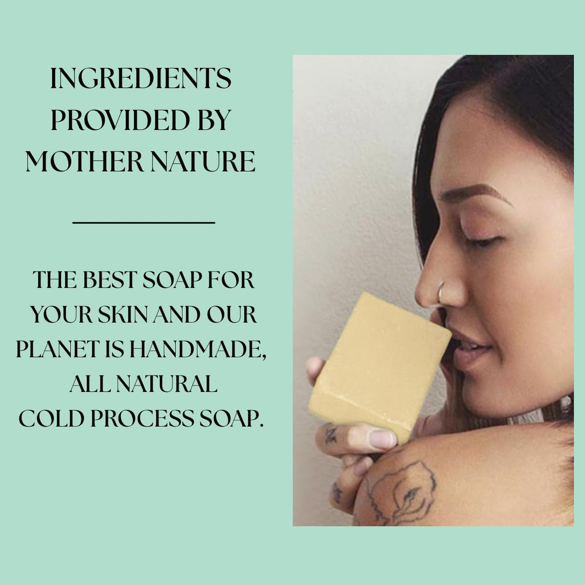 Aspen Kay Naturals ingredients flatlay with aloe, calendula and shea butter visuals