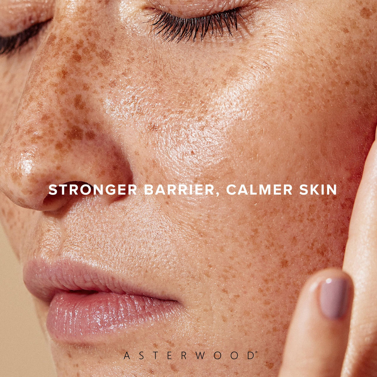 Asterwood ingredient display with ceramides and hyaluronic acid benefits