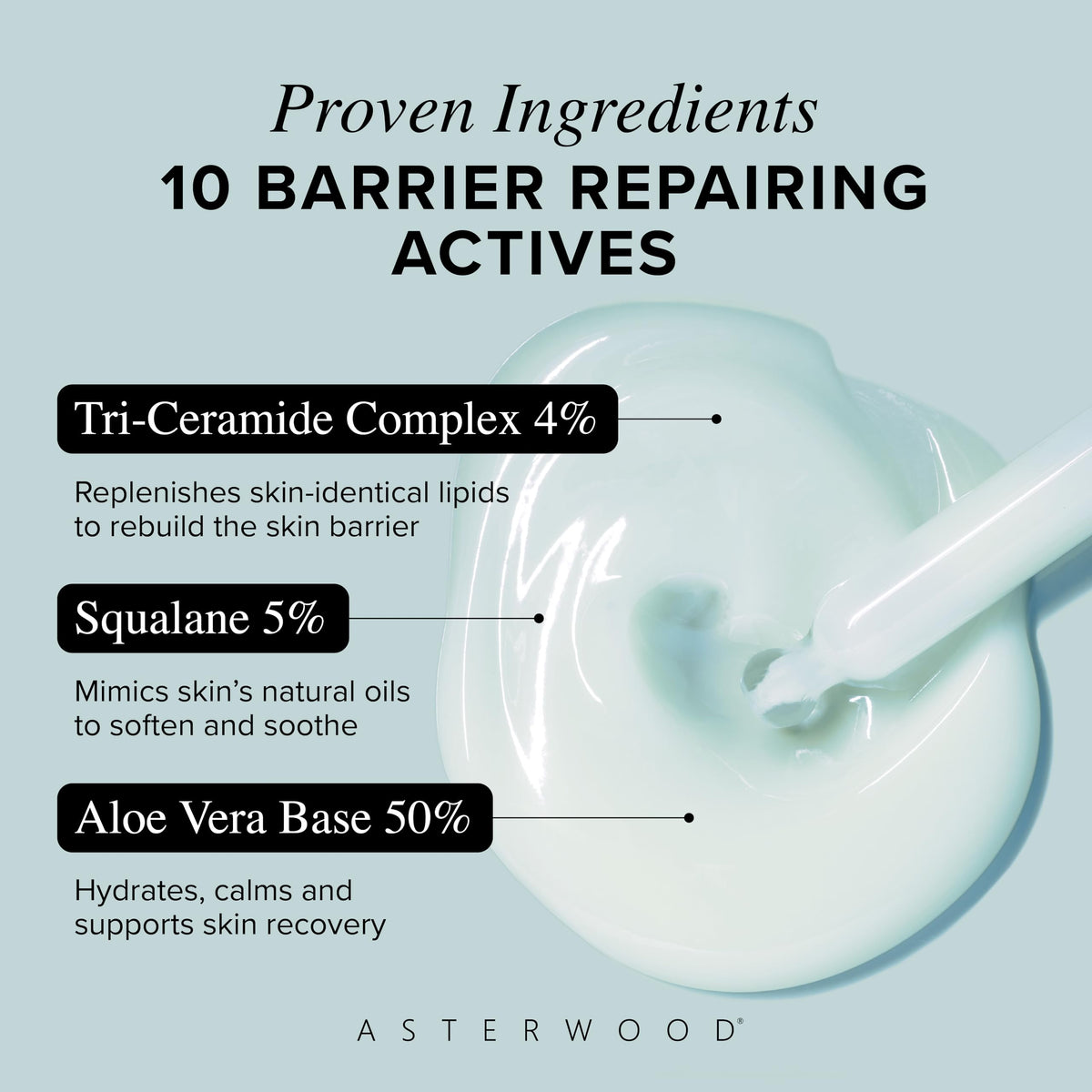 Asterwood serum absorbed into skin, showing hydrated smooth finish