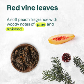 BIO SPECTRA ATTITUDE closeup of pomegranate and avocado ingredients highlighting natural benefit