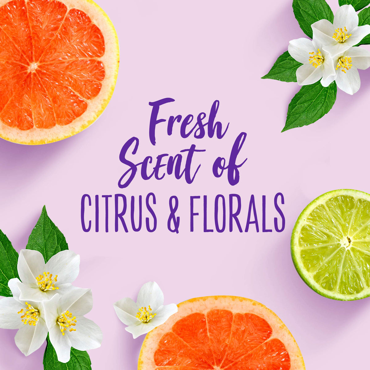 Aussie ingredient label close-up featuring Aloe, Jojoba Oil, and Sea Kelp benefits